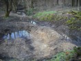 /album/pond-creation/balsam-glade-jpg/